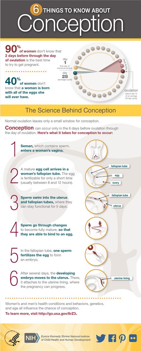 Women's Health Infographic: Conception Health Infographic, Ways To Get Pregnant, Pregnancy Labor, Get Pregnant Fast, Trying To Get Pregnant, Pregnancy Health, Get Pregnant, Family Planning, Pregnancy Care