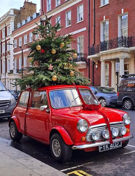 Chelsea Garden, Christmas In London, London Christmas, Christmas Car, Christmas Wonderland, Red Car, Christmas Vibes, Christmas Mood, Christmas Aesthetic