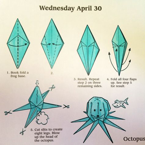 Origami octopus diagram Origami Sea Creatures, Origami Jellyfish, Origami Octopus, Paper Octopus, Origami Yoda, Origami Step By Step, Creative Origami, Origami Diagrams, Origami Dragon