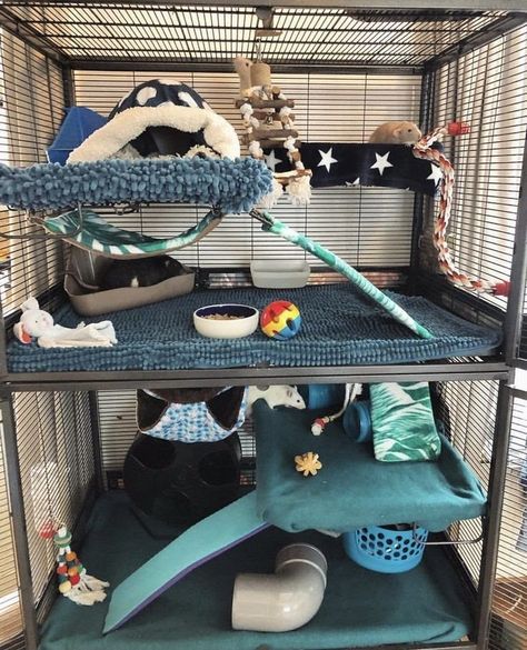 Critter Nation Rat Cage Ideas, Rat Enclosure Diy, Ferrets Cage Ideas, Ferret Cage Ideas Aesthetic, Rat Cage Ideas Diy, Diy Rat Cage Accessories, Diy Rat Cage, Ferret Cage Ideas, Rat Cage Ideas