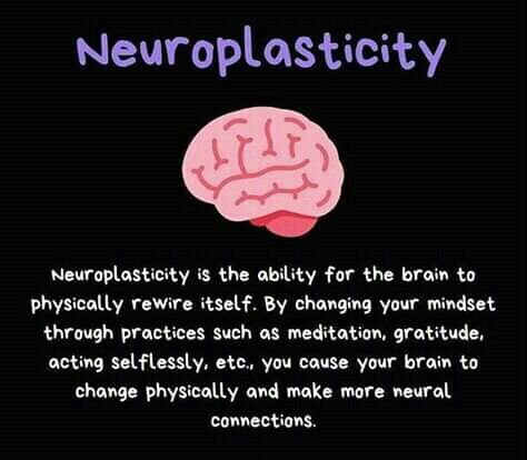 Neuroplasticity Exercises, Brains Quote, Rewire Your Brain, Neural Connections, Brain Facts, Brain Anatomy, Mental Health Facts, Brain Exercise, Brain Science