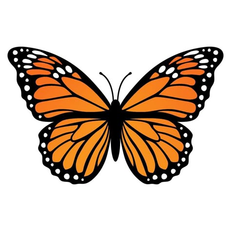 Butterfly Vector Illustration, Borboleta Tattoo, Dia De Los Muertos Decorations Ideas, Butterfly Vector, Butterfly Images, Butterfly Illustration, Butterfly Clip Art, Orange Butterfly, Butterfly Drawing