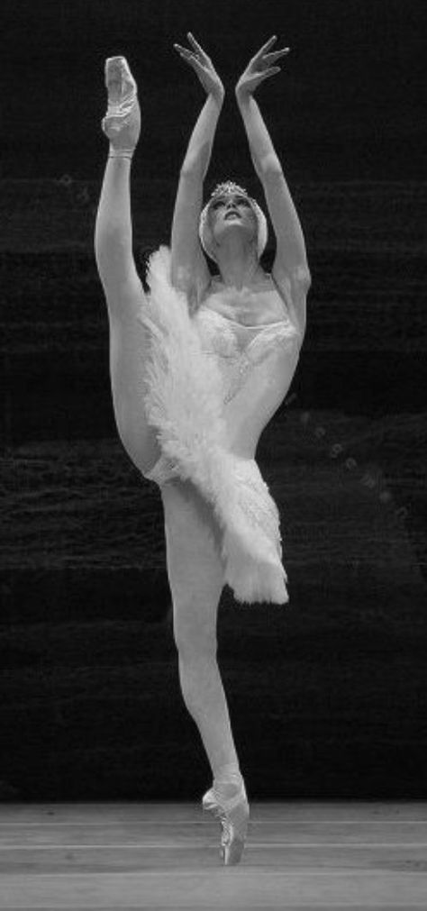 photography of prima ballerina Svetlana Zakharova in Swan Lake #ballet #ballerina #balletbeautiful #balletart Svetlana Zakharova Swan Lake, Ballerina On Stage, Celebrities Tattoos, Svetlana Zakharova, Swan Lake Ballet, Ballet Images, Dance Picture Poses, Ballet Pictures, Ballet Academy