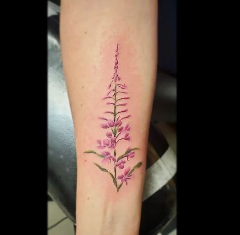 Fireweed Tattoo, Alaska Tattoo, Flower Tat, New Heart, Skin Art, Piercing Tattoo, Tattoos And Piercings, Small Tattoos, Tattoos For Women