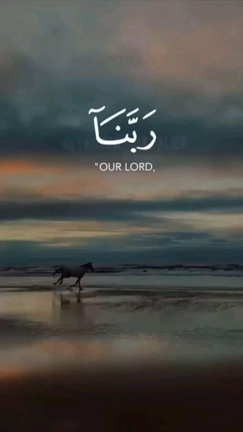 Quran Reading, Images Jumma Mubarak, Jumma Mubarak Quotes, Al Qur'an Aesthetic, Qur'an Photography, Best Quran Quotes, Ayat Quran, Beautiful Quran Verses, Muslim Couple Quotes