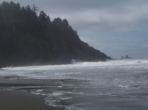 First Beach, WA La Push Beach Twilight, Wild Beach Aesthetic, La Push Aesthetic, Twilight La Push, La Push Washington, La Push Beach, Washington Beaches, Lucy White, Twilight Dr