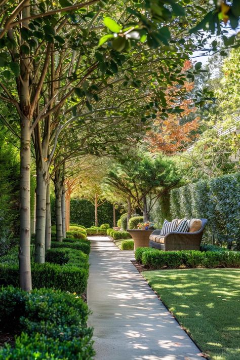 The Best Trees for Adding Privacy and Beauty to Your Backyard Landscape Gardening Ideas, Lush Garden Landscaping, Acres Wild Garden Design, Privacy Yard Ideas, Whimsical Backyard Garden, Quarter Acre Backyard Ideas, Lemon Trees Backyard, Narrow Front Yard Landscaping, European Garden Landscaping