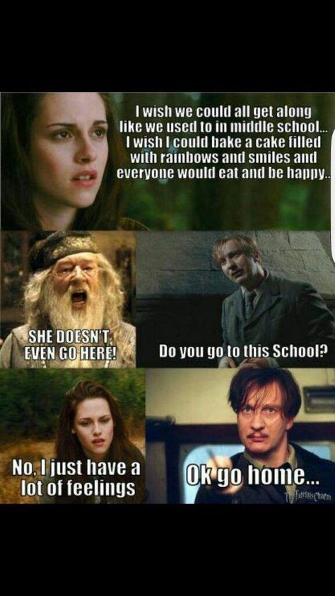 Harry Potter And Twilight, Twilight Harry Potter, Harry Potter Vs Twilight, Memes Harry Potter, Harry Potter Twilight, Harry Potter Funny Pictures, Twilight Jokes, Harry Potter Parody, Twilight Funny