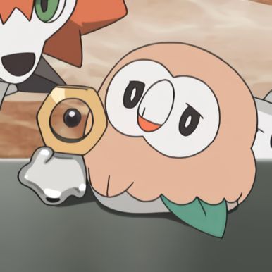 Rowlet Meme, Awesome Owls, Pokemon Alola, Pokemon Pokedex, Cool Pokemon, Catch Em All, Pokemon Pictures, Silly Cats, Cute Pokemon