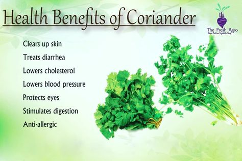 The Fresh Agro on Instagram: “Do you know...? The benefits of coriander. • • • • • #ahmedabad #thefreshagro #benefitsofcoriander #coriander  #ahmedabad #godrejgardencity…” Benefits Of Coriander, Juice Benefits, Apple Benefits, Gala Apples, Juice Bar, Healing Herbs, Curry Leaves, Lower Blood Pressure, Lower Cholesterol