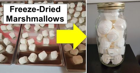 How To Freeze Dry Marshmallows, Freeze Dried Marshmallows, Dried Marshmallows, Prepping 101, Big Marshmallows, Lucky Charms Marshmallows, Temperature Chart, Survival Hacks, Large Mason Jars