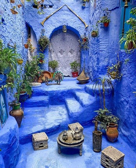 Imeuble Les Plantes Casseroles - Photo gratuite sur Pixabay Beautiful Morocco, African City, Morocco Photography, Blue Building, Perspective Photography, Plant Pot Decoration, Visit Morocco, Colorful Places, Photography Workshop