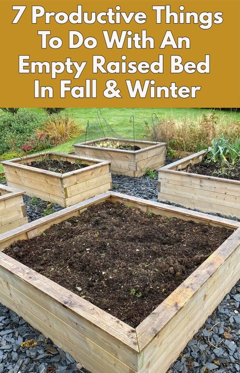 Don't let an empty raised bed go to waste this fall and winter. Here are seven productive things you can do instead - including some vegetables you can grow. Outdoor Raised Garden Beds, Raised Garden Beds Diy Vegetables, Tattoo Plant, Vegetable Garden Diy, Diy Raised Garden, Backyard Vegetable Gardens, Raised Garden Beds Diy, Productive Things To Do, Garden Help