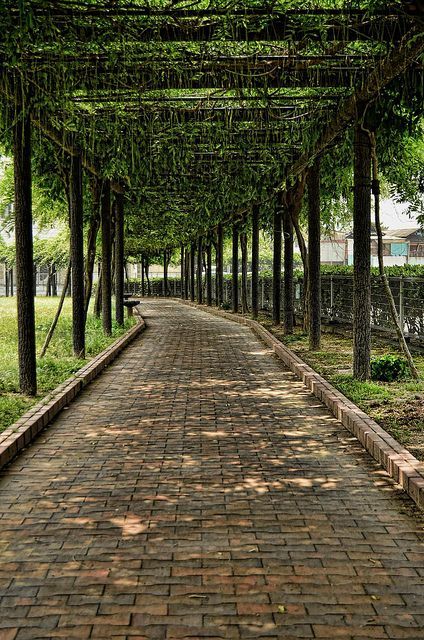 Rustic Tiles, Grape Arbor, Okayama Japan, Walkway Landscaping, Brick Path, English Gardens, Stone Path, Brick Road, Okayama