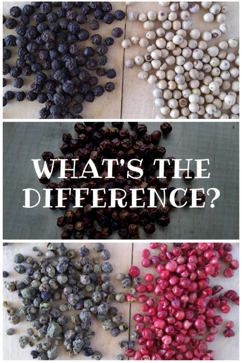 What is the Difference between Peppercorns  #peppercorns #pepper #blackpepper #blackpeppercorns #eatlikenooneelse #spices | eatlikenoone.com White Pepper Recipes, How To Grow Peppercorns, Growing Peppercorns, Pepper Steak Recipes, Recipe Peppers, Recipes Peppers, Pepper Steak Recipe, Types Of Peppers, Green Peppercorn