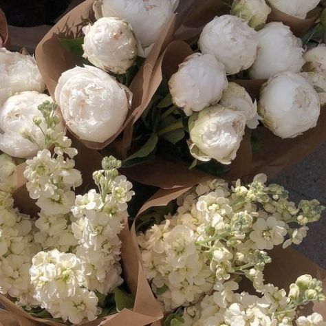 Bouquets, Flowers, White