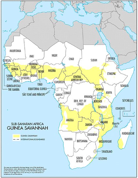 Savannah of Africa Savanna Africa, African Countries Map, World Map Outline, South Africa Map, Map Quiz, Map Of Africa, African Savannah, Map Outline, Map Pictures