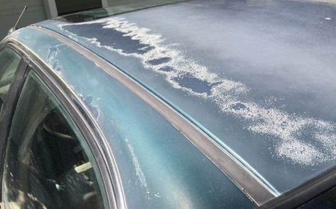 A Beginners Guide to Fixing Clear Coat Damage – What Causes Oxidation Auto Body Work, Car Buying Guide, Car Fix, Gm Car, Vehicle Inspection, Auto Body Repair, Auto Repair Shop, Automotive Paint, Paint Protection