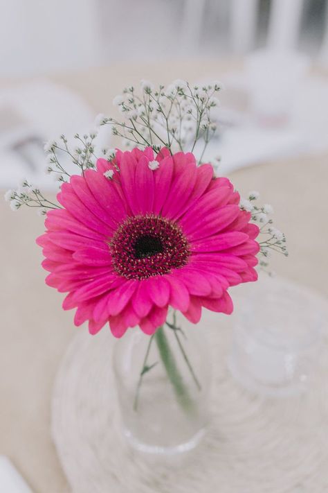 Simple Gerber Daisy Centerpiece, Gerbera Table Decorations, Gerbera Daisy Table Decor, Pink Gerber Daisy Centerpiece, Gerbera Wedding Centerpieces, Gerbera Daisy Wedding Centerpieces, Gerbera Wedding Decoration, Gerbera Flower Arrangements, Gerber Daisy Centerpiece