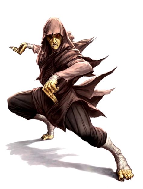 Male Nagaji Scaled Fist Monk - Pathfinder PFRPG DND D&D d20 fantasy Yuan Ti Pureblood Male, Monastery Art, Yuan Ti Pureblood, Yuan Ti, Dark Sun, Pathfinder Rpg, Dnd Ideas, Fantasy Races, Dungeons And Dragons Characters