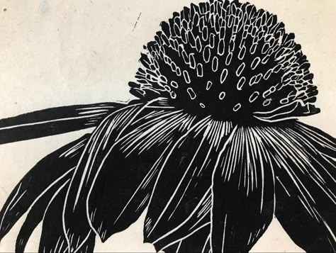 Linocut Prints Art, Print Lino, Echinacea Flower, Printmaking Inspiration, Pomegranate Print, Apple Flowers, Lino Art, Intuitive Painting, Lino Cut