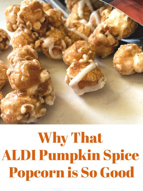 They did it again! The ALDI Pumpkin Spice Popcorn is in stores, and causing trouble. See why you need to add it to your cart today. Pumpkin Spice Popcorn, Cheesecake Popcorn, Pumpkin Popcorn, Carmel Cheesecake, Popcorn Ideas, Pumpkin Spice Treats, Spiced Popcorn, How To Make Caramel, Popcorn Kernels