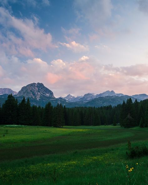 X Meadow Wallpaper Iphone, Meadow Wallpaper, 숲 사진, Grass Landscape, Grass Background, Mountain Images, Floral Wallpaper Iphone, Iphone11 Pro, Tree Images