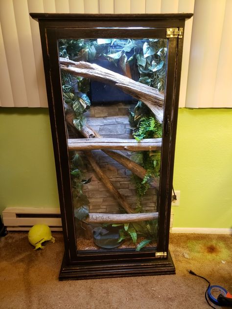 Red Tailed Boa, Leopard Gecko Diy, Python Enclosure, Snake Tanks, Reptile Enclosure Ideas, Snake House, Snake Cage, Red Tail Boa, Carpet Python