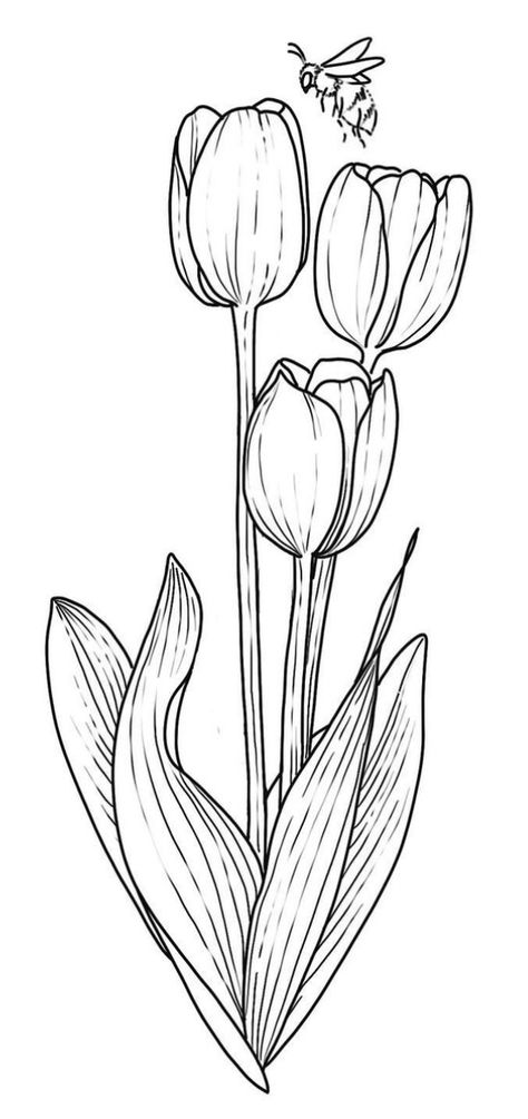 Tulip Outline Drawing, Tulips Art Drawing, Tulips Line Drawing, Tulip Sketch Simple, Tulip Line Drawing, Tulip Outline, Tulip Drawings, Floral Bouquet Drawing, Tulip Sketch