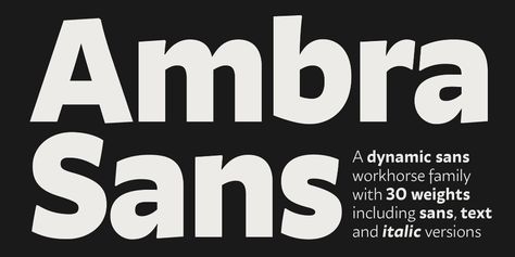 Ambra Sans - A dynamic humanist typeface family on Behance Humanist Typography, Humanist Typeface, Ghost In The Machine, Sans Serif Fonts, Design Language, Design Collection, Graphic Designers, Brand Design, Skeleton