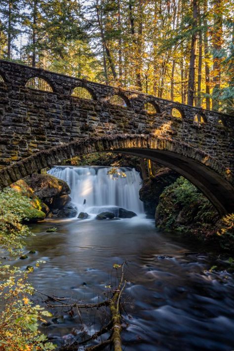 In the middle of a forest, a stone bridge crosses over a creek and a waterfall. Seattle Travel, Bellingham Washington, Autumn Park, Stone Bridge, Beautiful Park, Why People, Hidden Treasures, Mountain Bike, West Coast