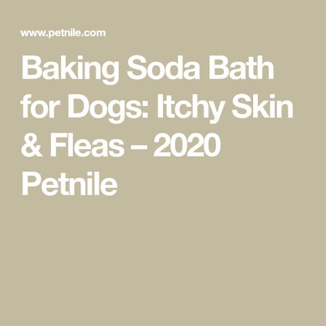 Natural Flea Bath For Dogs, Diy Flea Bath For Dogs, Flea Bath For Dogs, Dog Shampoo For Itchy Skin, Yeast In Dogs, Dog Deodorizer, Coconut Oil Bath, Home Remedies For Fleas, Itchy Dog Skin