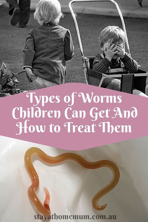 Is your child scratching their bottom…a lot? Chances are, they might have worms! How To Get Rid Of Tapeworms In Humans, De Worming Humans, Pin Worms How To Get Rid Of, How To Get Rid Of Worms In Humans, How To Deworm Yourself Naturally, How To Get Rid Of Ring Worm Fast, Deworming Humans Diy, Tape Worm In Humans, Worms In Humans