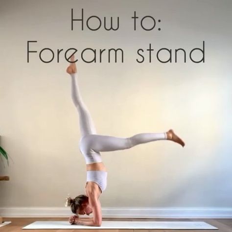 Yoga on Instagram: “Video by @ania_75 💜 ⠀ Many of you asked for a tutorial for a forearm stand - Pincha Mayurasana. Here you go! Make sure to warm up your arms…” Forearm Stand, Instagram Video, Yoga, Health, Instagram