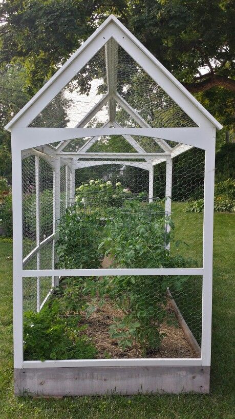 Squirrel proof garden enclosure, designed by Kristine Fisher Deer Resistant Garden Design, Squirrel Proof Garden, Garden Enclosure, Deer Resistant Garden, Garden Arbor, Garden Shrubs, Veg Garden, Vegetable Garden Design, Garden Bed