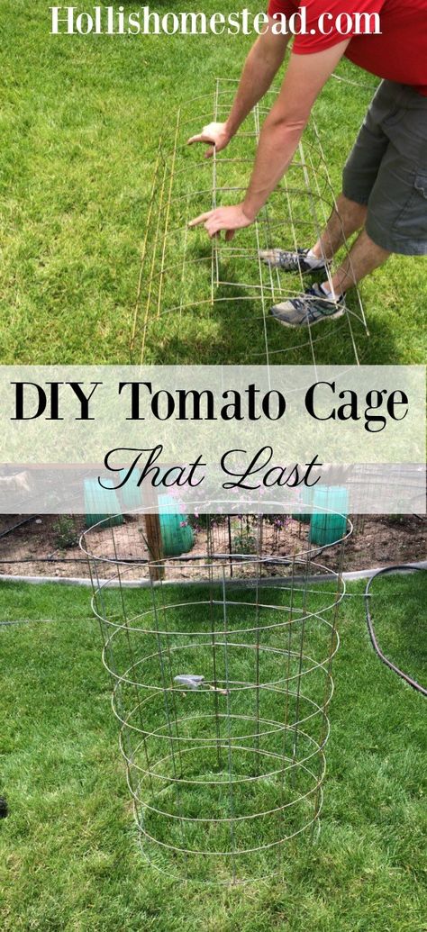 DIY tomato Cage that lasts Diy Tomato Cage, Growing Tomatoes In Containers, Vertical Vegetable Garden, Vertical Herb Garden, Tomato Cages, Tomato Garden, Gardening Advice, Growing Tomatoes, Tomato Plants