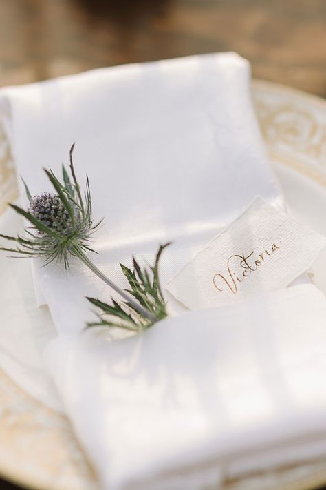 Thistle Centerpiece, Thistle Wedding, Field At Sunset, Beautiful Field, Blue Thistle, Vision Photography, Golden Autumn, Blue Napkins, Fall Fruits