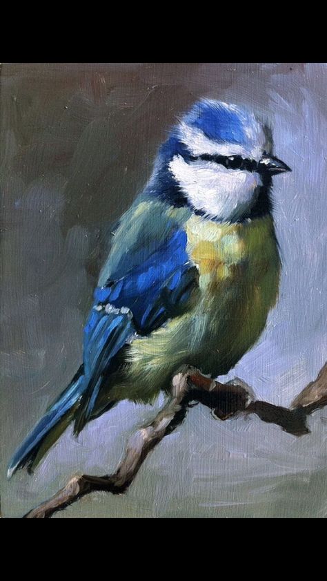 Bird Sitting On A Branch, Bird Sitting, Arte Animal, Art And Illustration, Wildlife Art, Birds Painting, Art Oil, Pencil Art, Bird Art