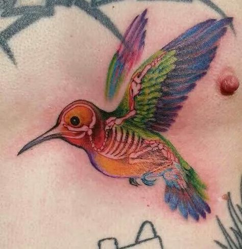 Hummingbird skeleton Trippy Hummingbird Tattoo, Hummingbird Tattoo Chest, Goth Hummingbird Tattoo, Hummingbird Skull Drawing, Hummingbird Skeleton Tattoo, Hummingbird Skeleton, Bird Skull Tattoo, Papa Tattoo, Hummingbird Skull