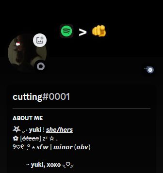 discord bio idea 🫶 Discord Bio, Cute Bios, Y2k Icons, Custom Stuffed Animal, Melody Hello Kitty, Cute Tiny Tattoos, Aesthetic Roblox Royale High Outfits, Name Inspiration, Anime Expressions