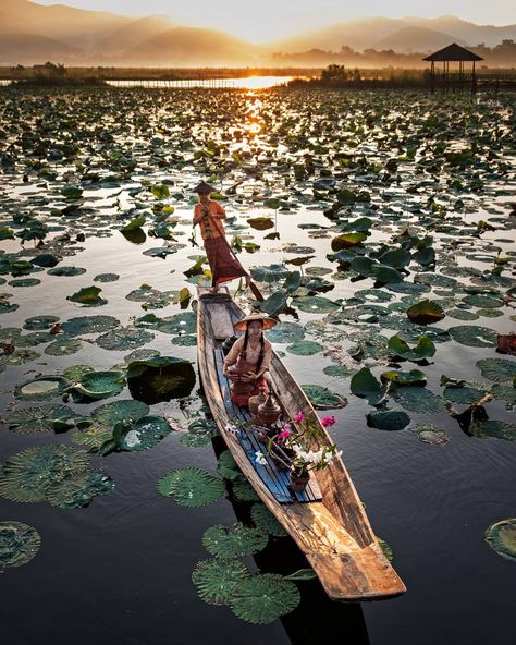 Inlay Lake, Vietnam Landscape, Mawlamyine, Hero Wallpapers Hd, Aesthetic Ig Filter Selfie, Vintage Myanmar, Bangladesh Travel, Good Morning Vietnam, Lake Tanganyika