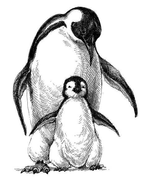 Pinguin Illustration, Penguin Sketch, Penguin Tattoo, Penguin Drawing, Penguin Family, Draw Realistic, Pencil Drawings Of Animals, Animal Drawings Sketches