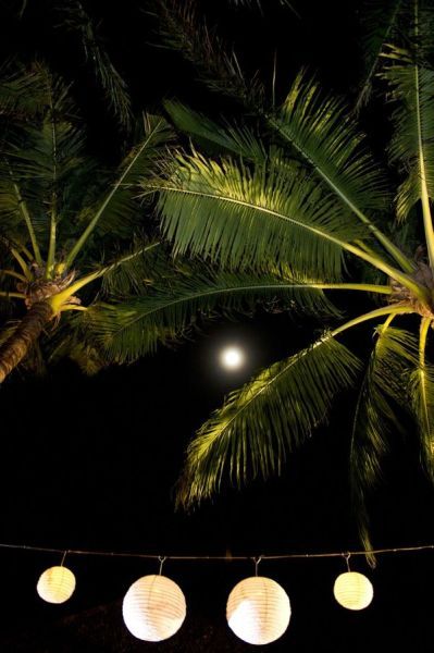 Tropical Night Party, Tropical Paradise Beach, Starlit Night, Tropical Weddings, Tropical Night, Tropical Retreat, Tropical Living, Tropical Oasis, I Love The Beach