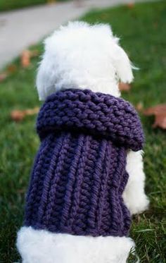 Free Knitting Pattern - Ribbed #sweater Dog Vest from the Pets Free Knitting Patterns Category and Knit Patterns Dog Knitting, Knitted Dog Sweater Pattern, Dog Sweater Pattern, Crochet Dog Sweater, Knitting Patterns Free Sweater, Knit Dog Sweater, Dog Vest, Crochet Dog, Dog Sweaters