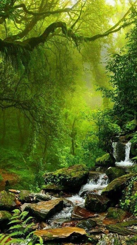 , Nature Lockscreen Aesthetic, Waterfall Paintings, Water Falls, Wallpapers Iphone, Beautiful Waterfalls, Landscape Nature, Alam Yang Indah, Green Trees, Beautiful Places To Travel