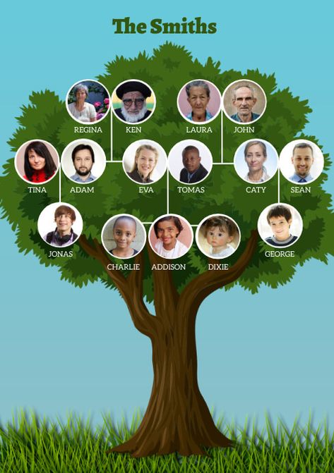 family tree Family Tree Examples, Family Tree Diagram, Create A Family Tree, Make A Family Tree, Family Tree Maker, Pedigree Chart, Tree Diagram, Ancestry Family Tree, Family Collage