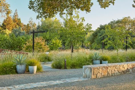 Wine Country Modern — Lucas & Lucas Grassy Meadow, California Wine Country, Residential Landscape, Lake Garden, Gravel Patio, Country Modern, Landscape Elements, Grasses Garden, California Wine