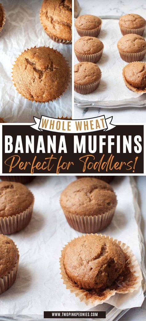 These whole wheat banana muffins have NO refined sugar and are instead sweetened with honey. These whole wheat banana muffins are perfect for busy mornings. They keep you full longer and are so easy to make. Banana Muffins For Toddlers, Banana Muffins No Sugar, Honey Muffins Recipe, Muffins For Toddlers, Whole Wheat Banana Muffins, Wheat Banana Muffins, Banana Muffin Recipe Healthy, Healthy Banana Recipes, Toddler Muffins