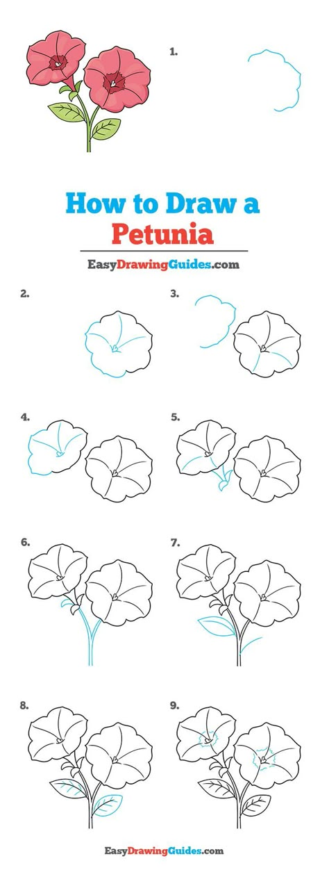 Petunia Drawing Lesson. Free Online Drawing Tutorial for Kids. Get the Free Printable Step by Step Drawing Instructions on https://easydrawingguides.com/how-to-draw-a-petunia/ How To Draw Petunia Flowers, Petunia Drawing Simple, Petunia Flower Drawing, How To Draw Flowers Step By Step Simple, Petunia Drawing, Petunias Drawing, Beginner Drawing Ideas, Doodles Tutorial, Learn To Draw Flowers