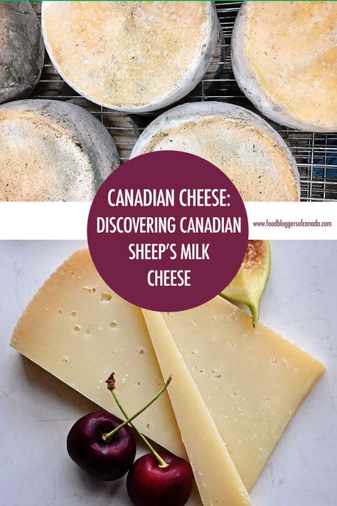 Canadian Recipes, Canadian Cuisine, French Canadian, Canadian Food, Culinary Travel, Cheese Tasting, Milk And Cheese, Summer Entertaining, Food Experiences